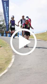 BIB:  <button type="button" onclick="openModal(27763459)" class="btn btn-primary btn-sm float-right" data-toggle="modal" data-target=".modal-high-quality">
                <i class="fa fa-download"></i> Download
                </button>